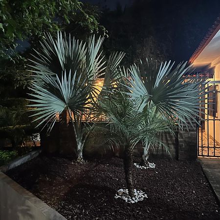 Villa Palmier -Quiet Cosy Air Conditioned Terrace Puerto Vallarta Exterior foto