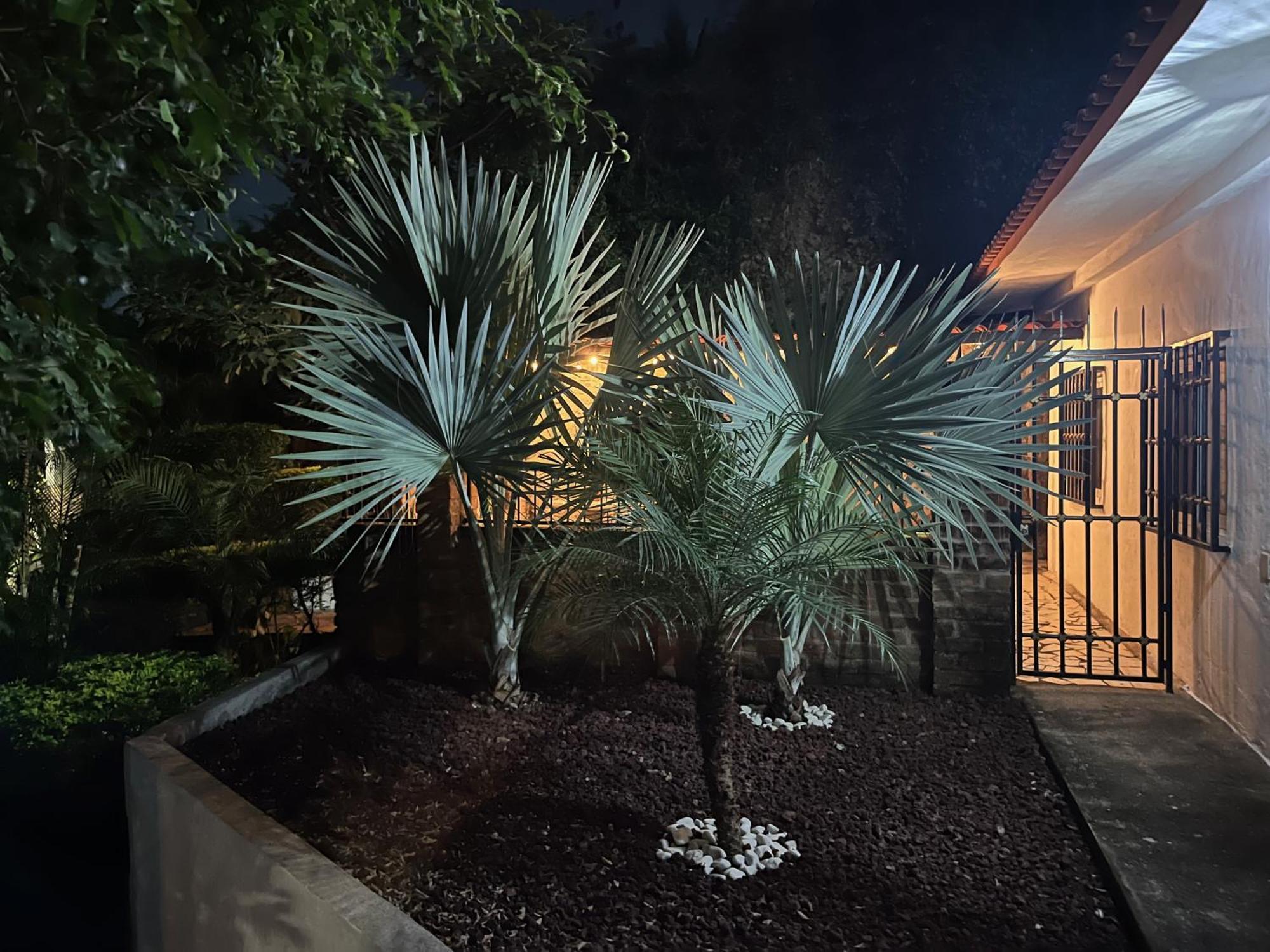 Villa Palmier -Quiet Cosy Air Conditioned Terrace Puerto Vallarta Exterior foto