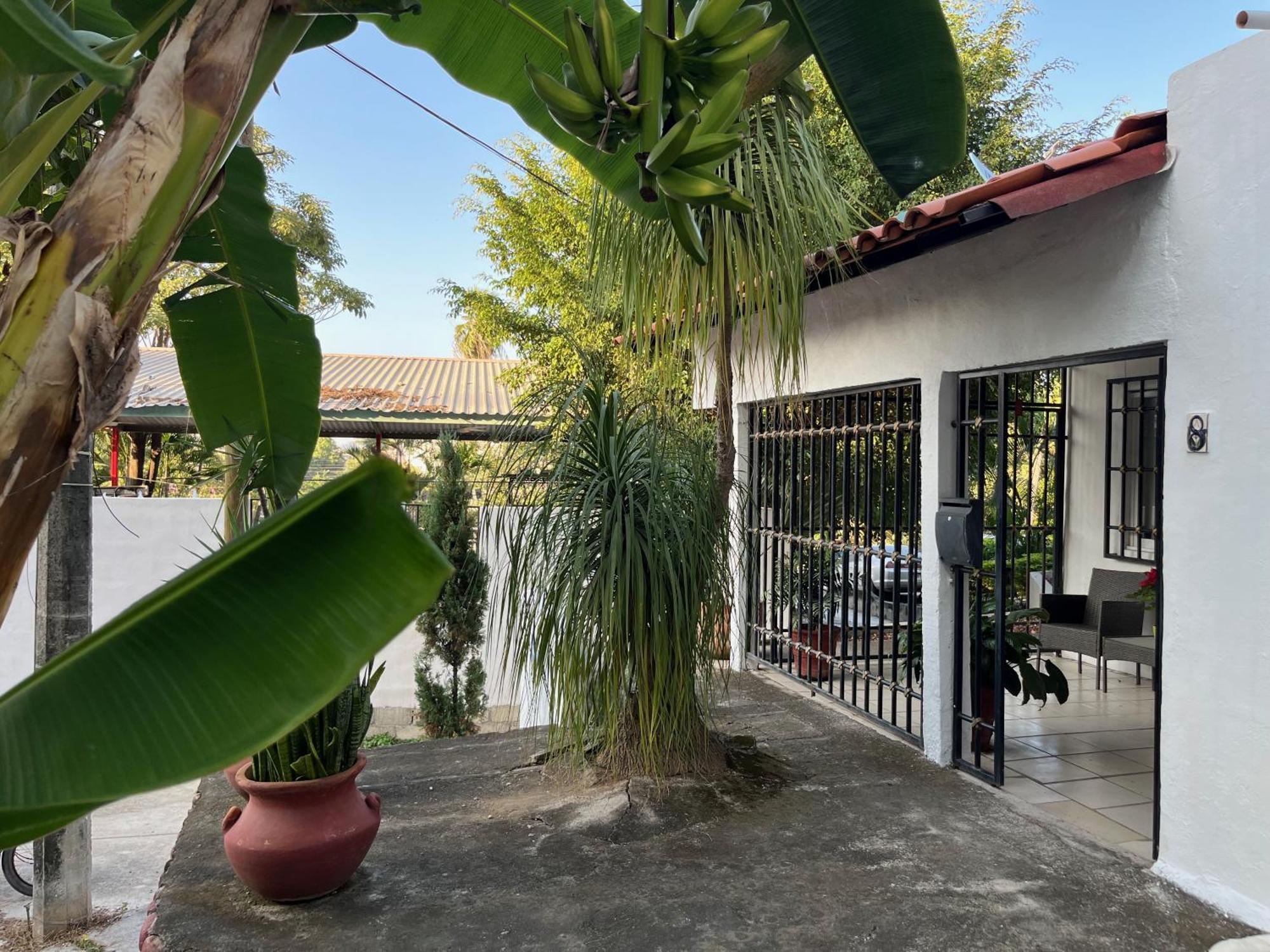 Villa Palmier -Quiet Cosy Air Conditioned Terrace Puerto Vallarta Exterior foto